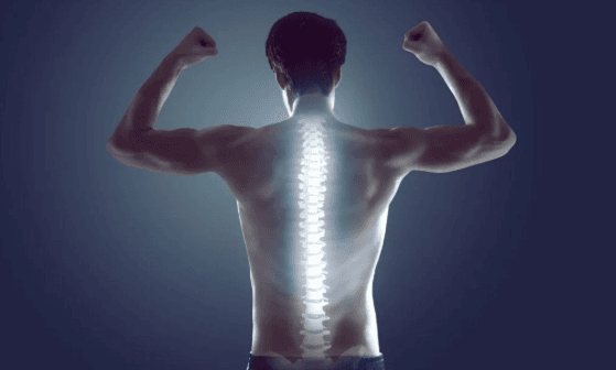 Why a Healthy Spine Equals a Healthy Life